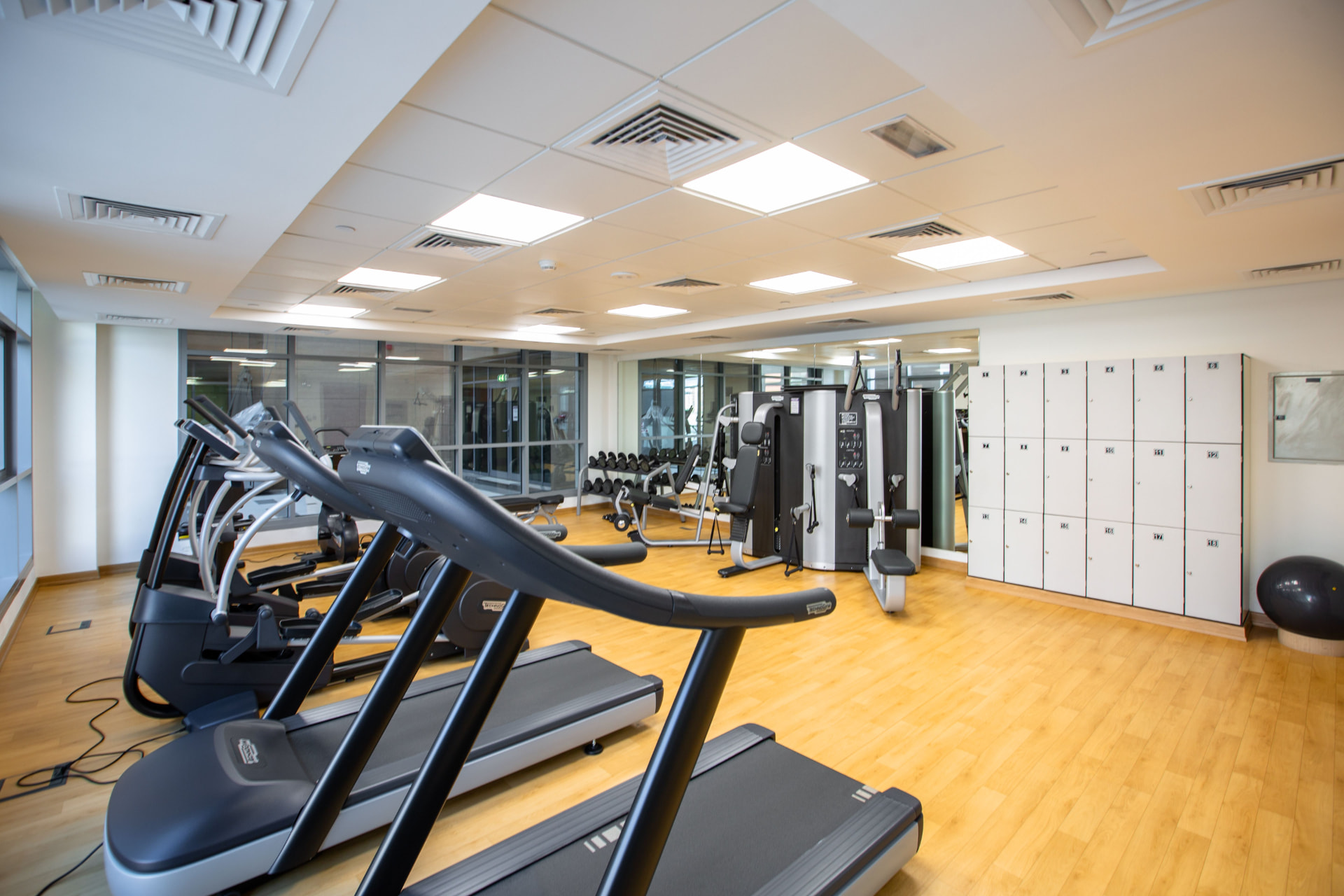 The Gym